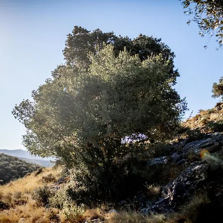 La Bergerie De Sant Marti De La Roca Camélas