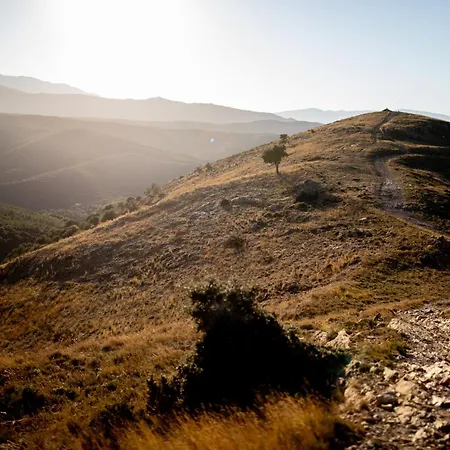 La Bergerie De Sant Marti De La Roca * Camélas